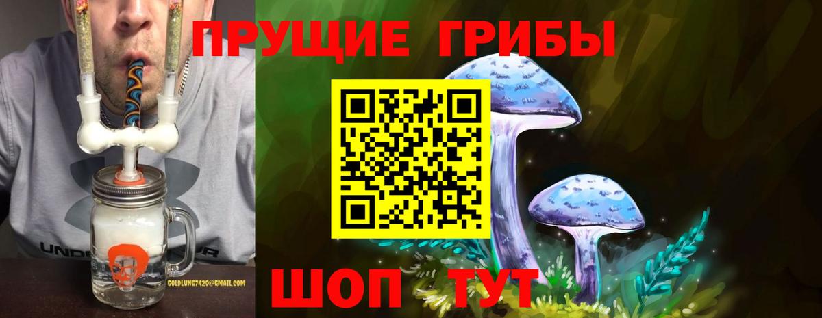 Псилоцибиновые грибы прущие грибы  Вход с VPN  Тольятти 